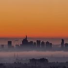 Skyline Frankfurt am Morgen