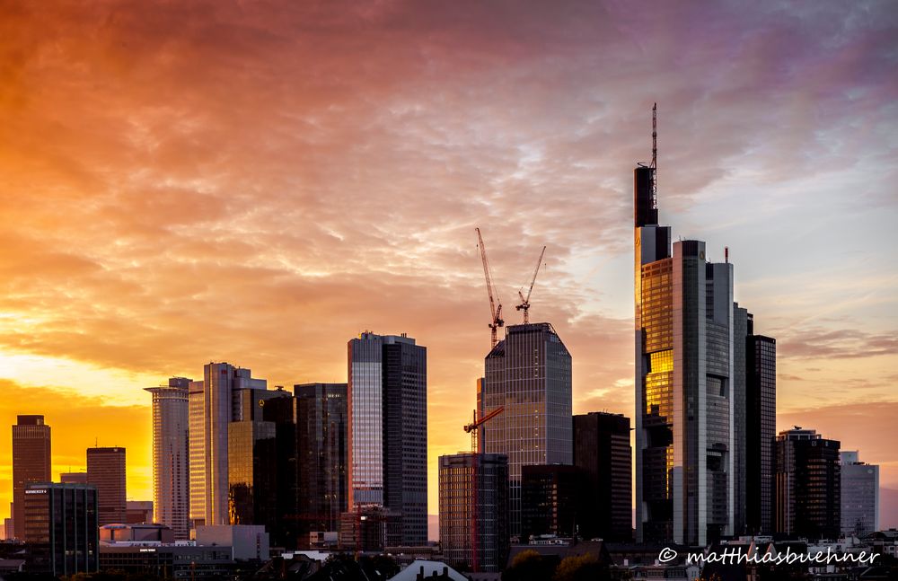 Skyline Frankfurt mit Abendrot