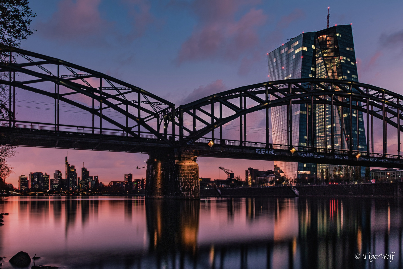 Skyline Frankfurt mit EZB zur blauen Stunde