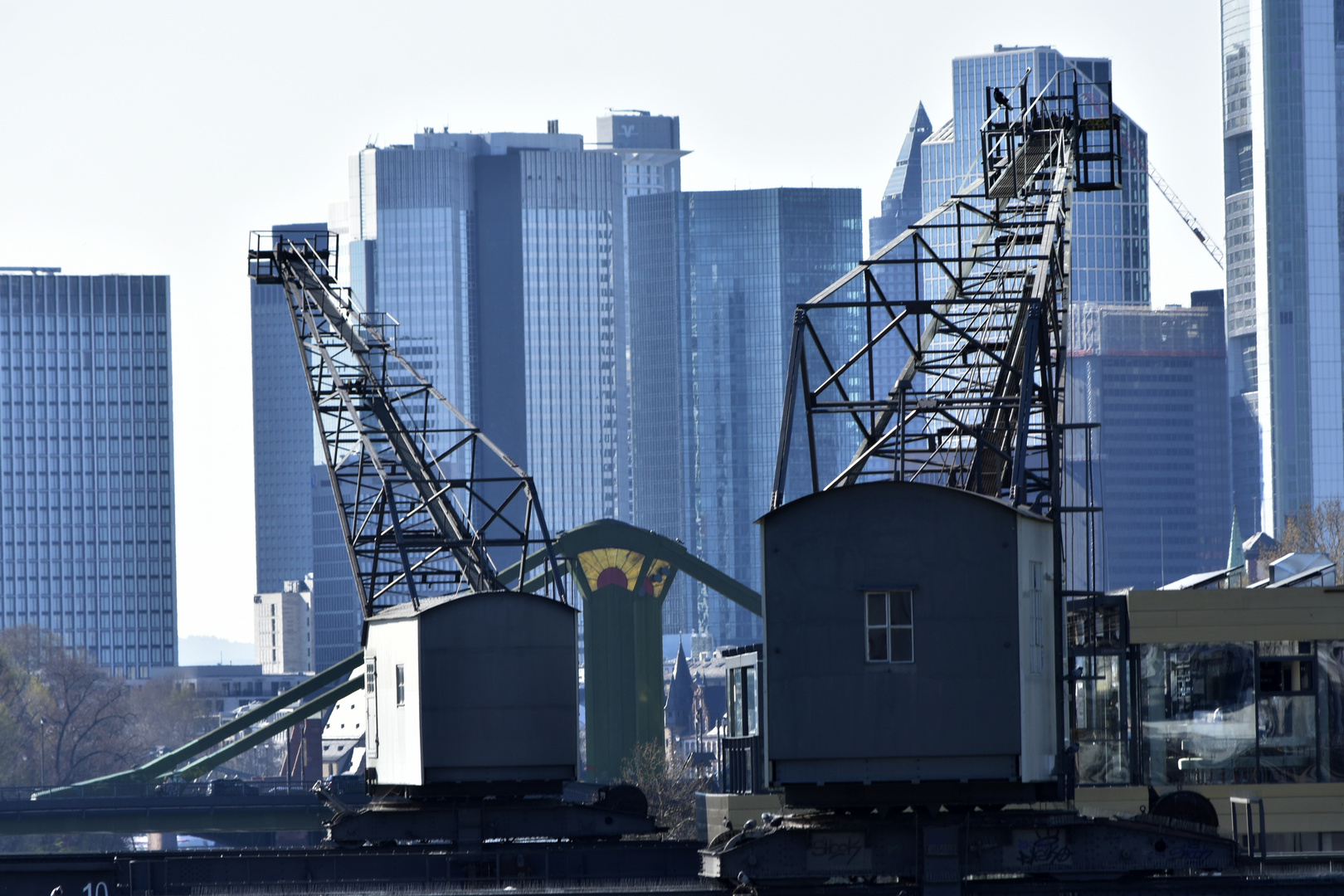 Skyline Frankfurt und Kräne