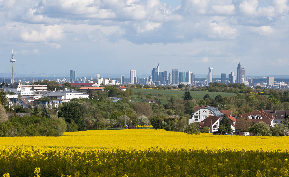 Skyline Frankfurt/M.