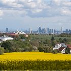 Skyline Frankfurt/M.