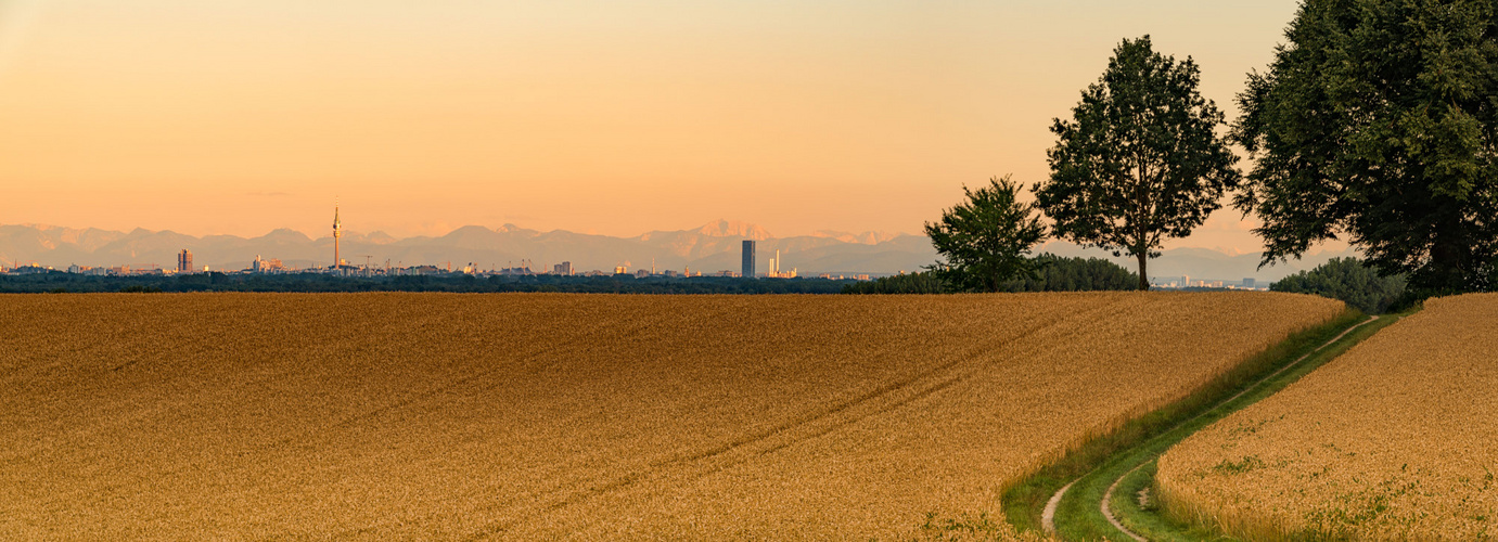 Skyline from Munich