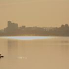 Skyline Heiligenhafen...