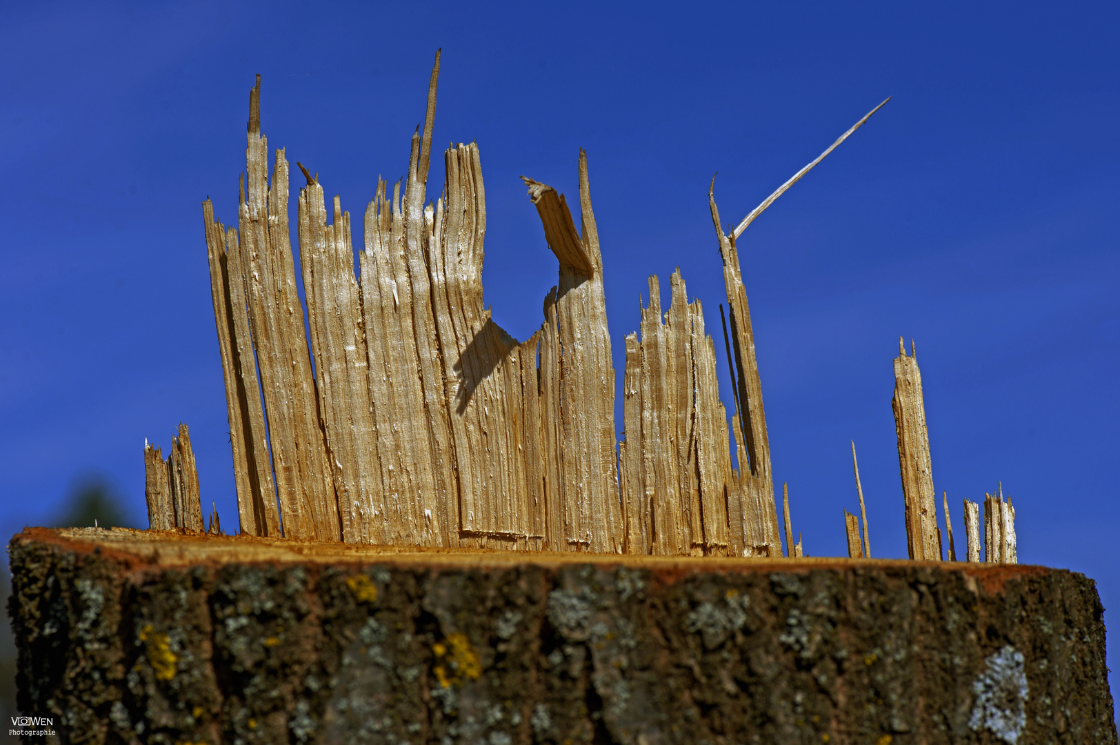 Skyline in Holz......