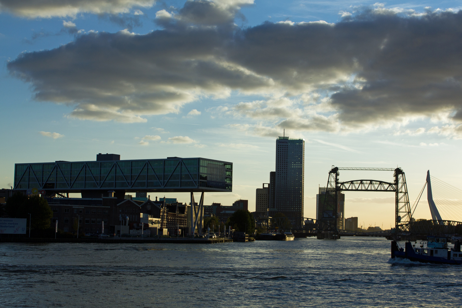 skyline in Rotterdam