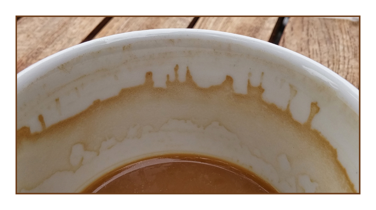skyline in the cup