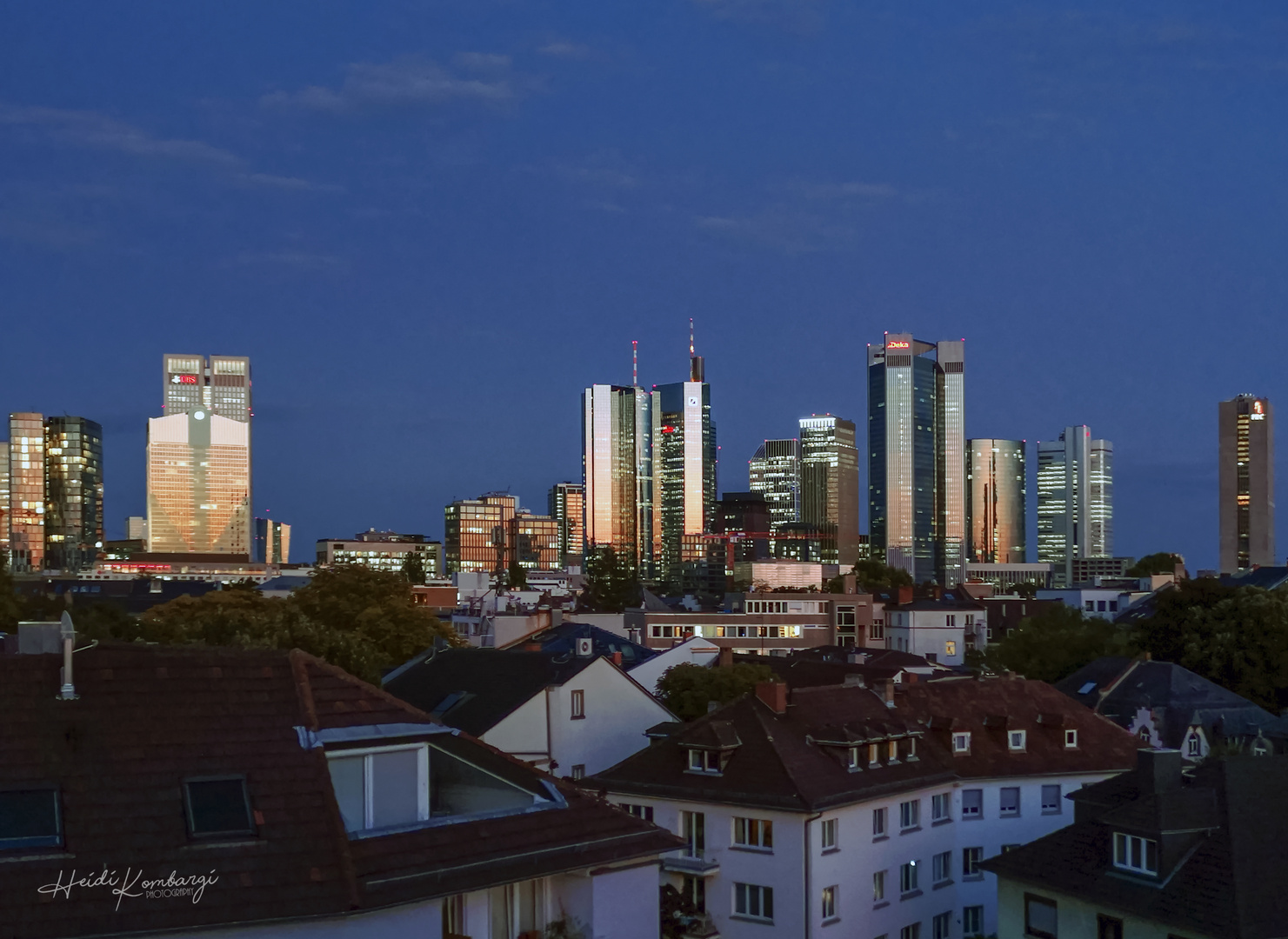 SKYLINE IN THE EVENING SUN