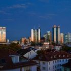 SKYLINE IN THE EVENING SUN