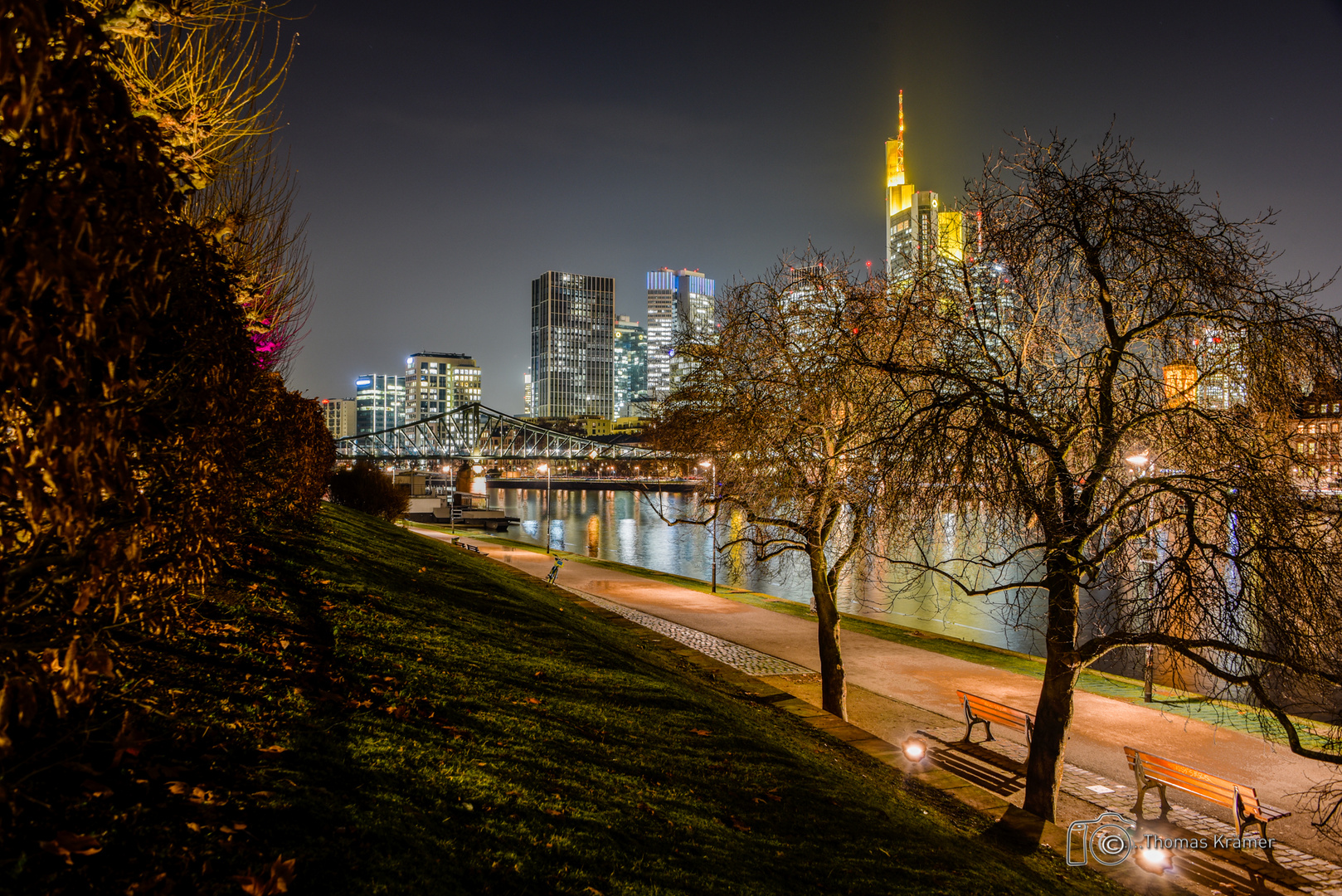 Skyline mit Bäumen - D75_1653