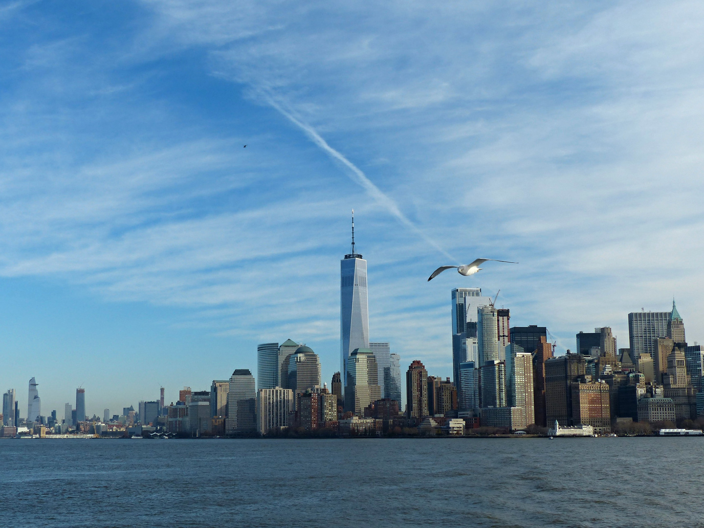 SKYLINE MIT MÖWE