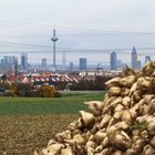 Skyline mit Zucker(rüben)guss