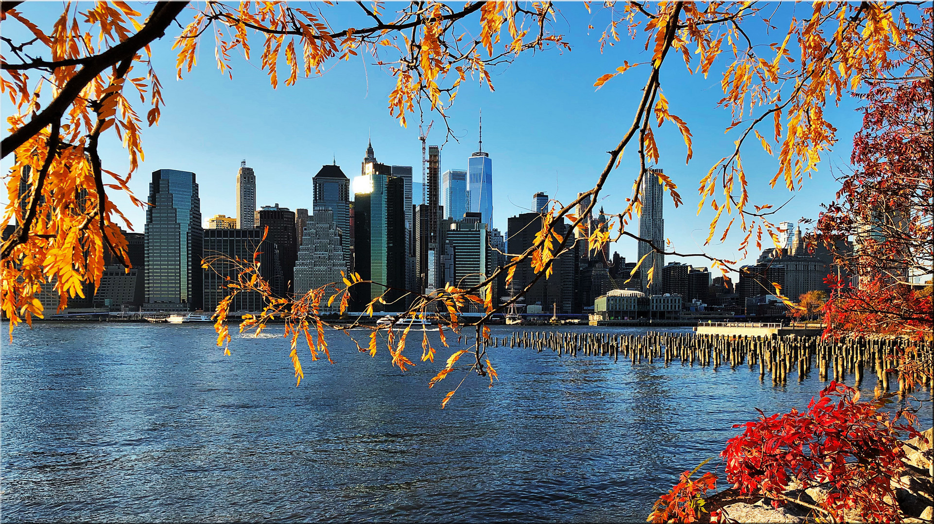 Skyline NYC