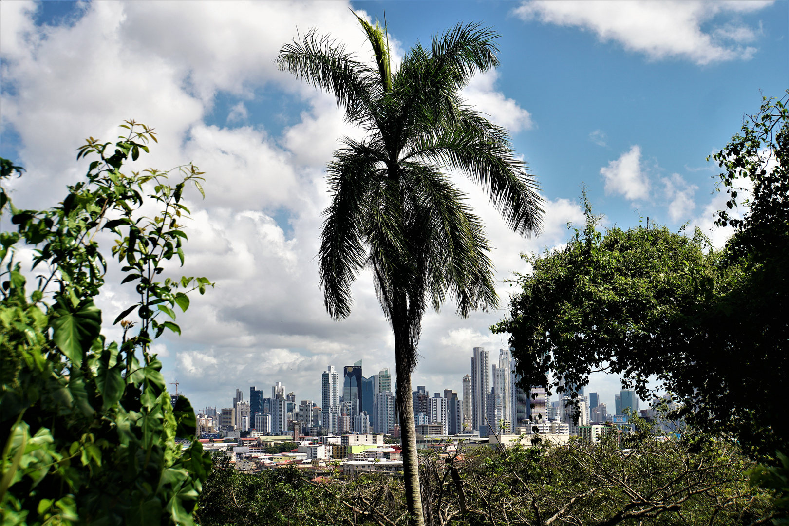 Skyline of Panama City 