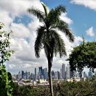Skyline of Panama City 