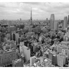 Skyline of Tokyo