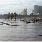 Skyline - Praia da Rocha II