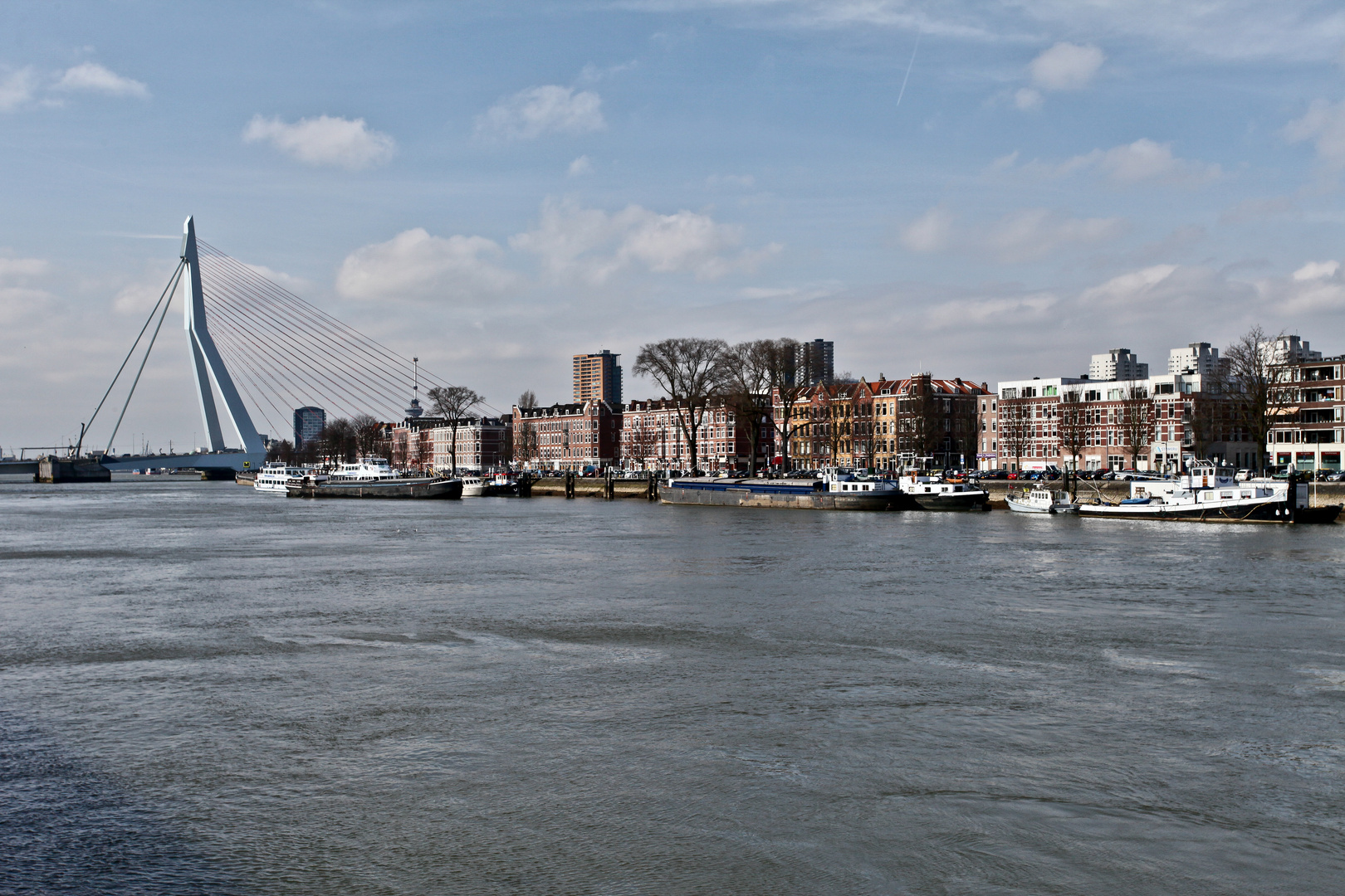 Skyline Rotterdam