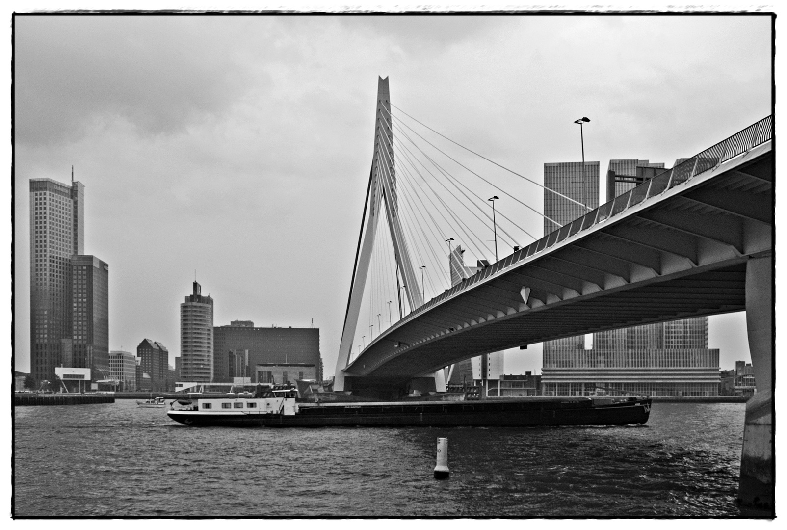 Skyline Rotterdam