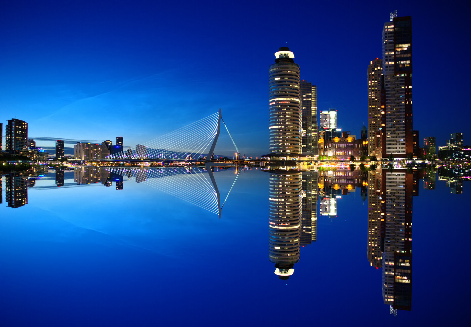 Skyline Rotterdam at night