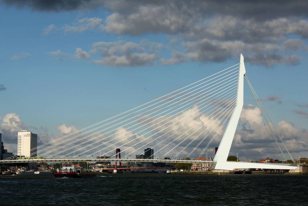 Skyline Rotterdam center seen from the water
