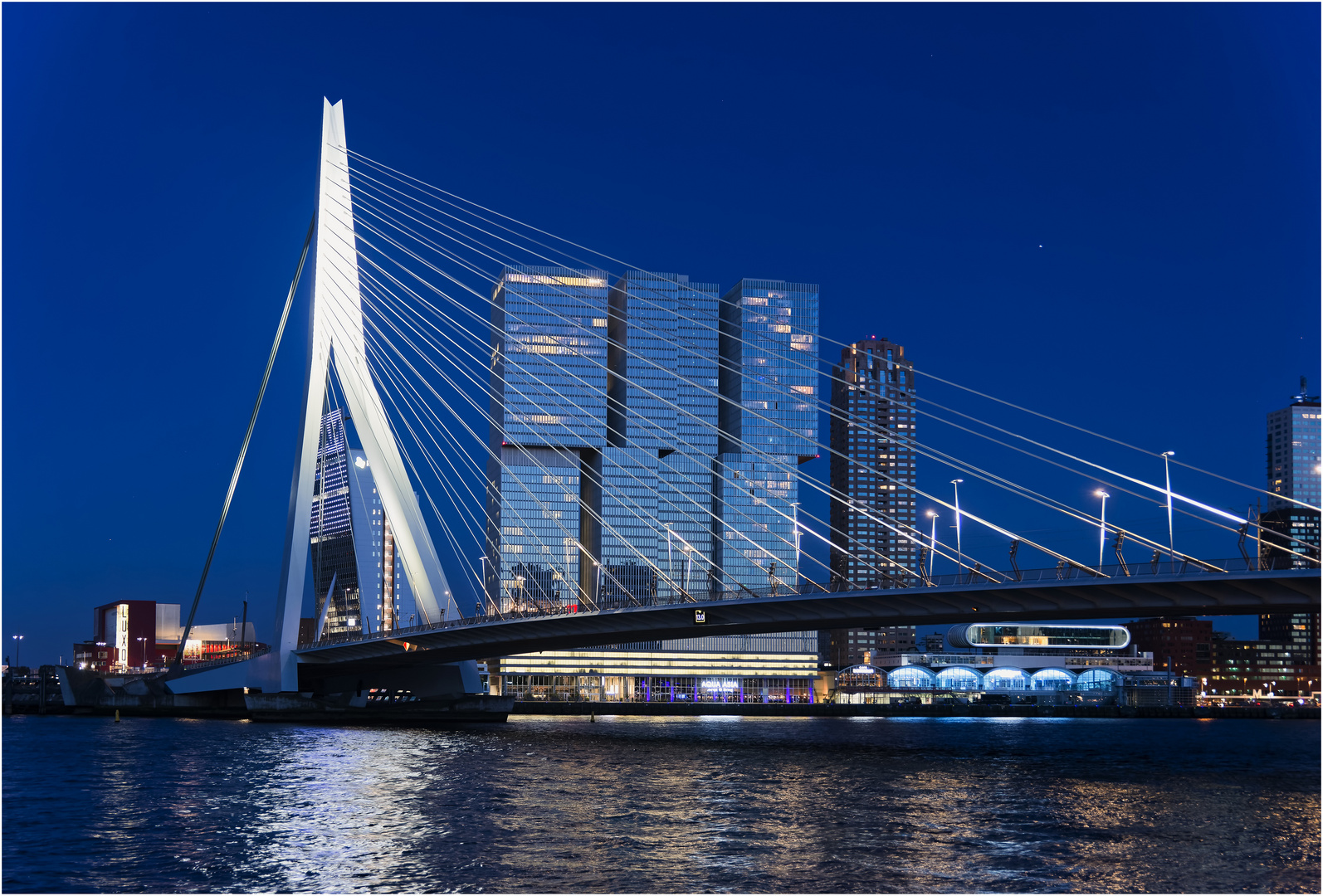 Skyline Rotterdam + Erasmus Brücke