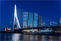 Skyline Rotterdam + Erasmus Brücke