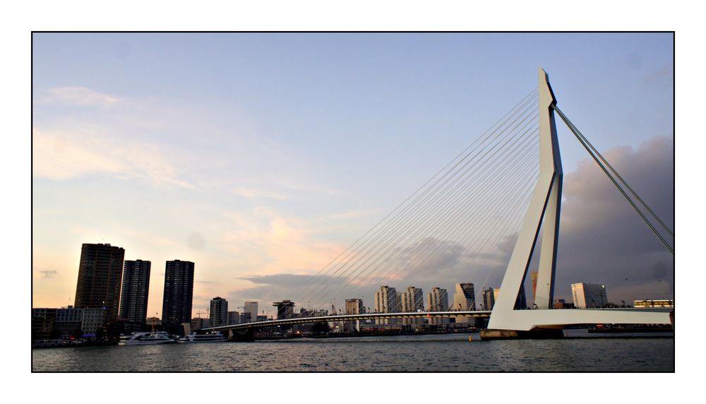 Skyline Rotterdam mit Erasmusbrug.