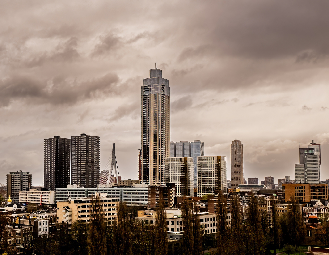 Skyline Rotterdam Rainy Day