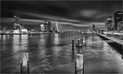 Skyline Rotterdam vom Rheinufer