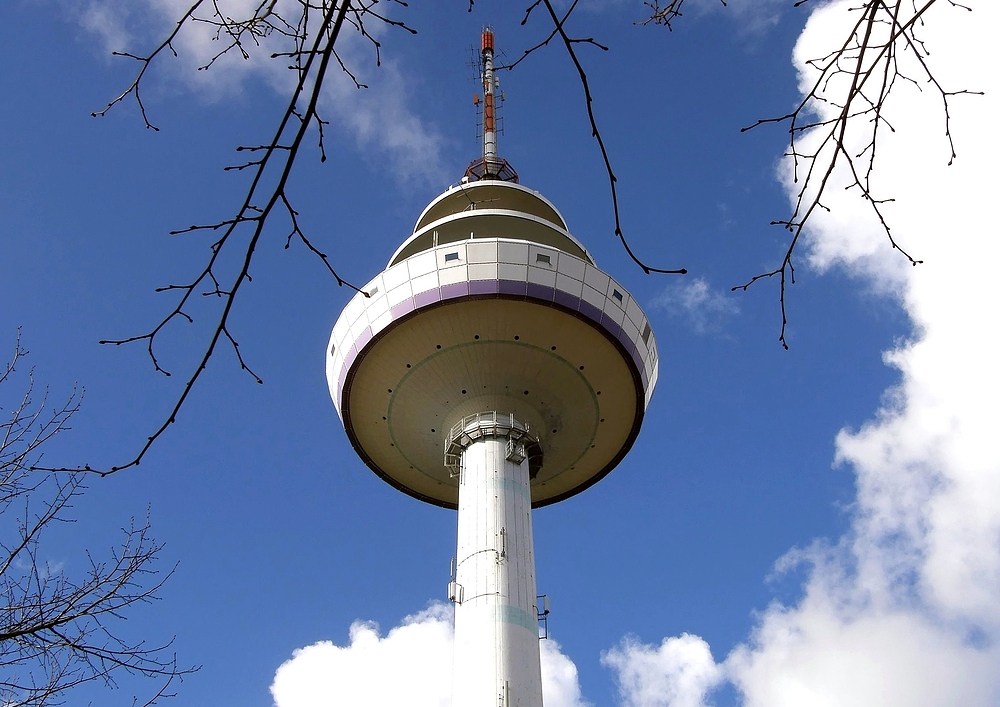 Skyline Schleswig - " Schliekieker "    ..