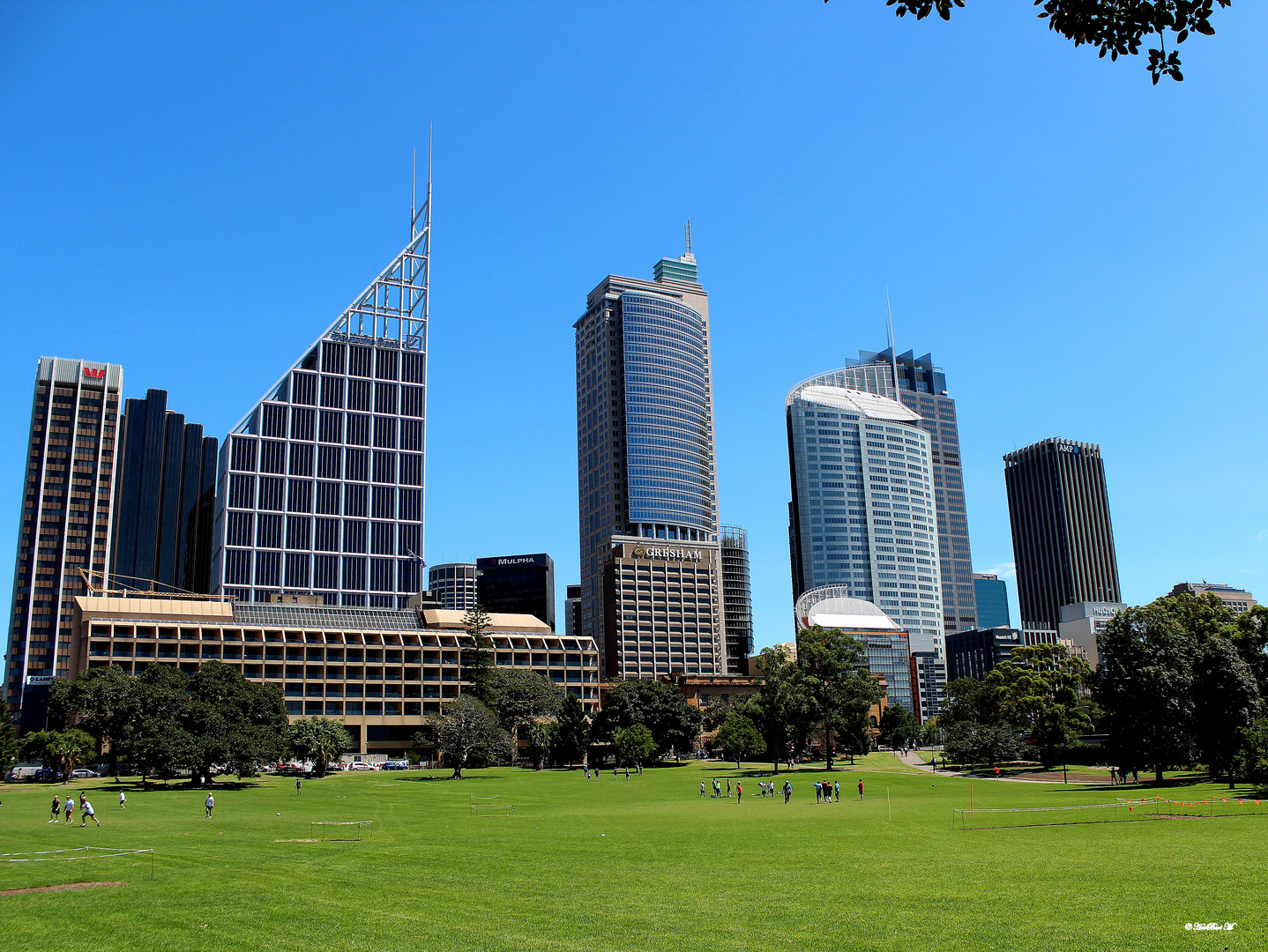 Skyline Sydney