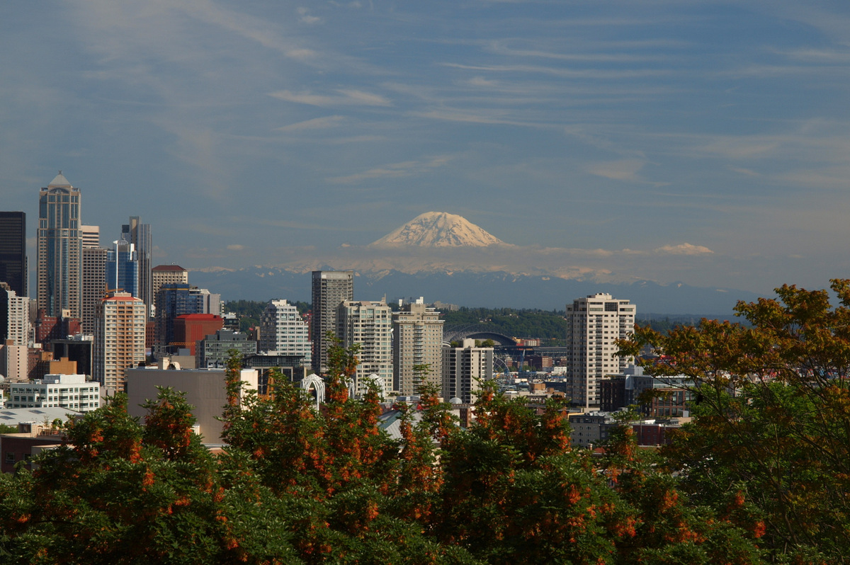 Skyline und Natur pur