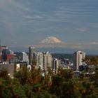 Skyline und Natur pur