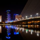 ~ Skyline Valencia und Pont L'assut De L'or ~