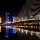 Skyline Valencia und Pont L'assut De L'or 