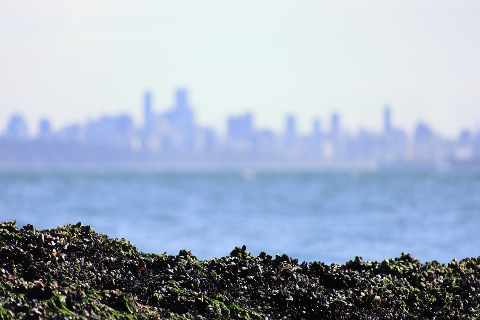 Skyline Vancouver