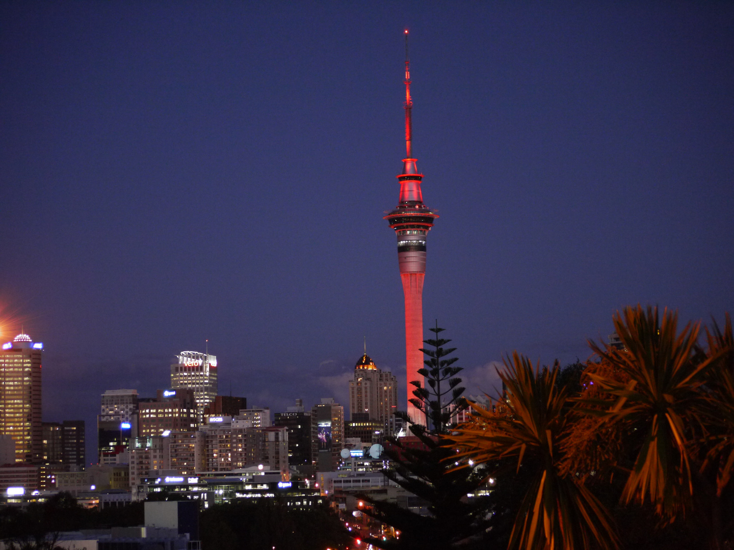 Skyline von Auckland