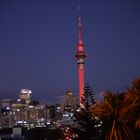 Skyline von Auckland