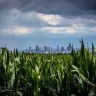 Skyline von Frankfurt