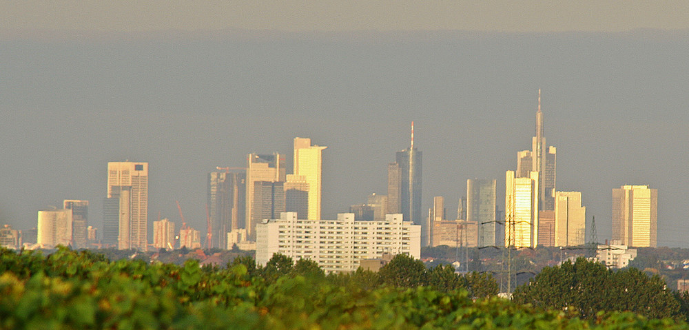 Skyline von Frankfurt