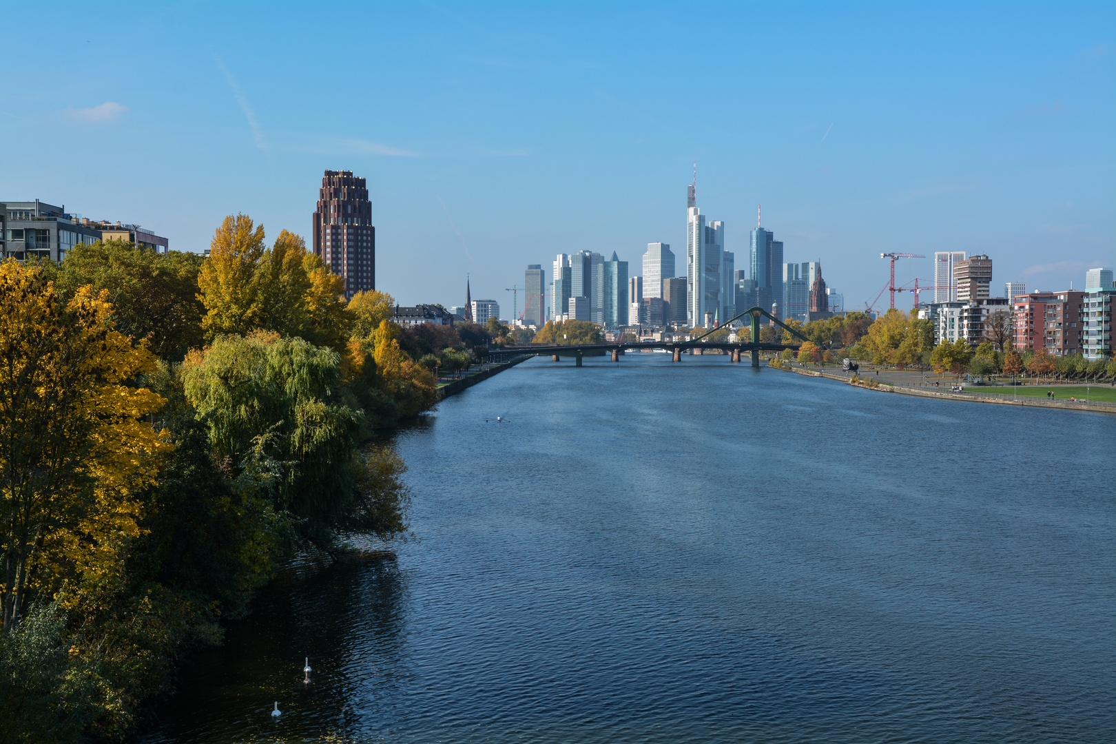 Skyline von Frankfurt im Herbst