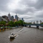 Skyline von Melbourne