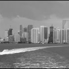 Skyline von Miami