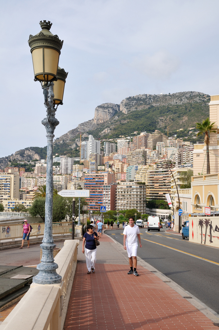 Skyline von Monaco DSC_2593