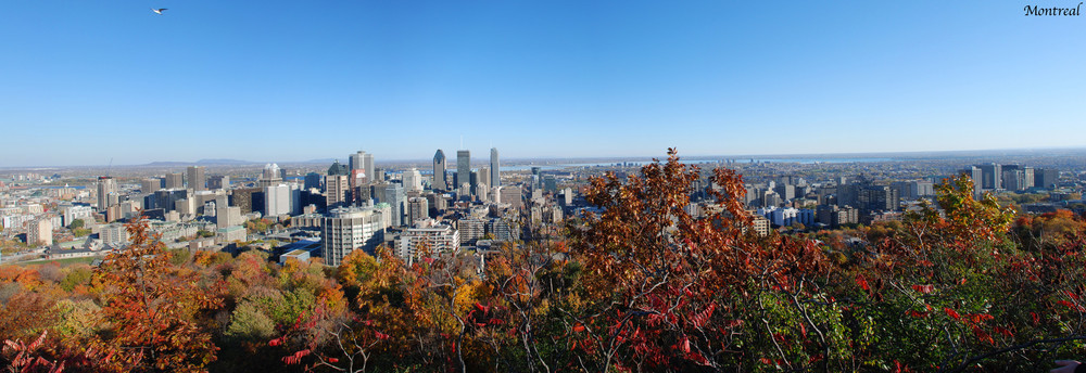 Skyline von Montreal