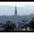 Skyline von Radolfzell