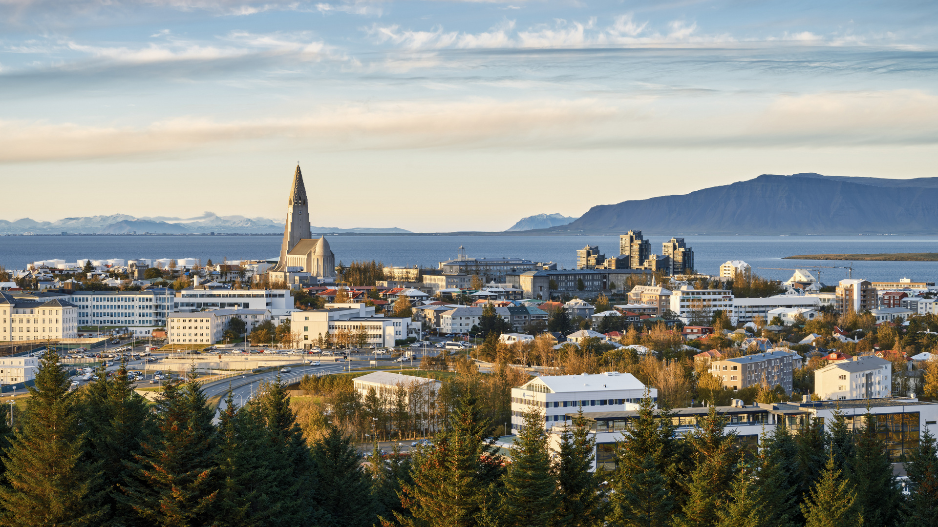 Skyline von Reykjavík 