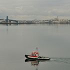 Skyline von Reykjavik, die Hauptstadt Islands, im Vordergrund das Lotsenschiff, das uns...