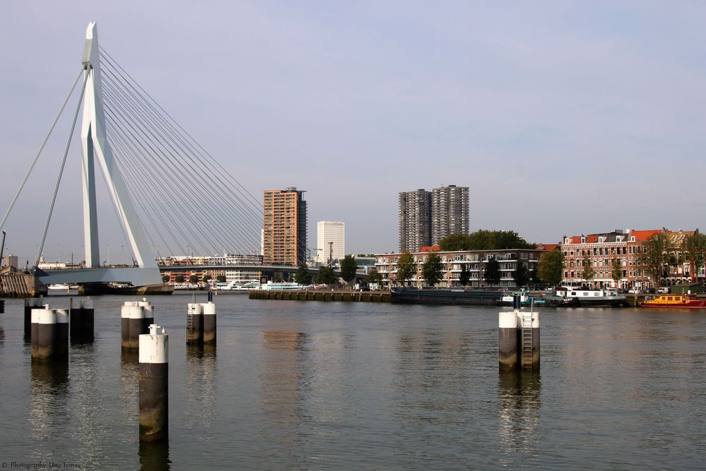 Skyline von Rotterdam 0006